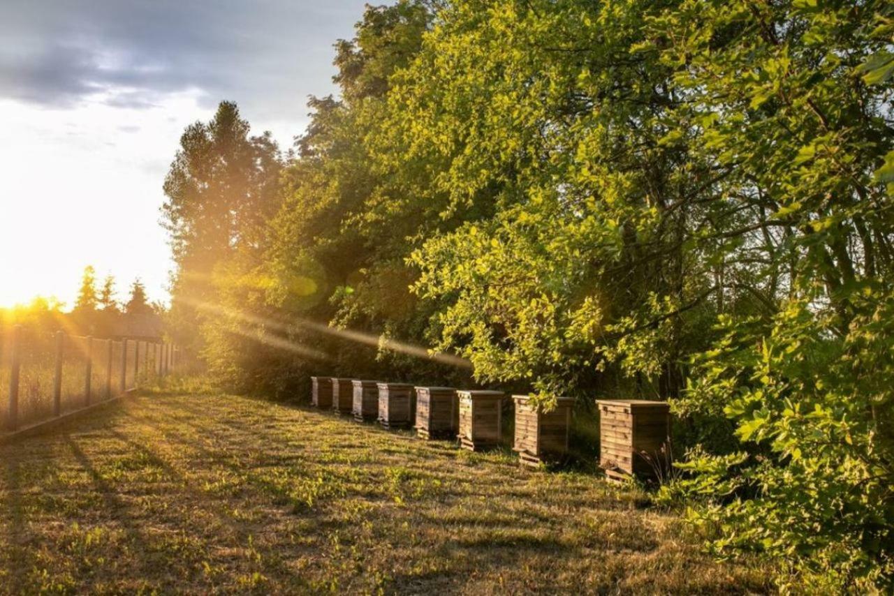 Hotel&Spa Dwor Droblin Lesna Podlaska Екстер'єр фото